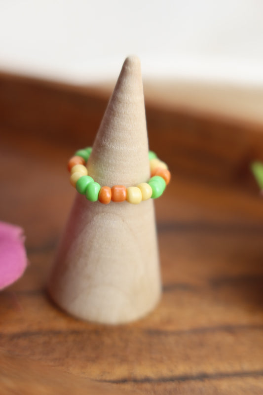 Sunset Garden🌿🌅