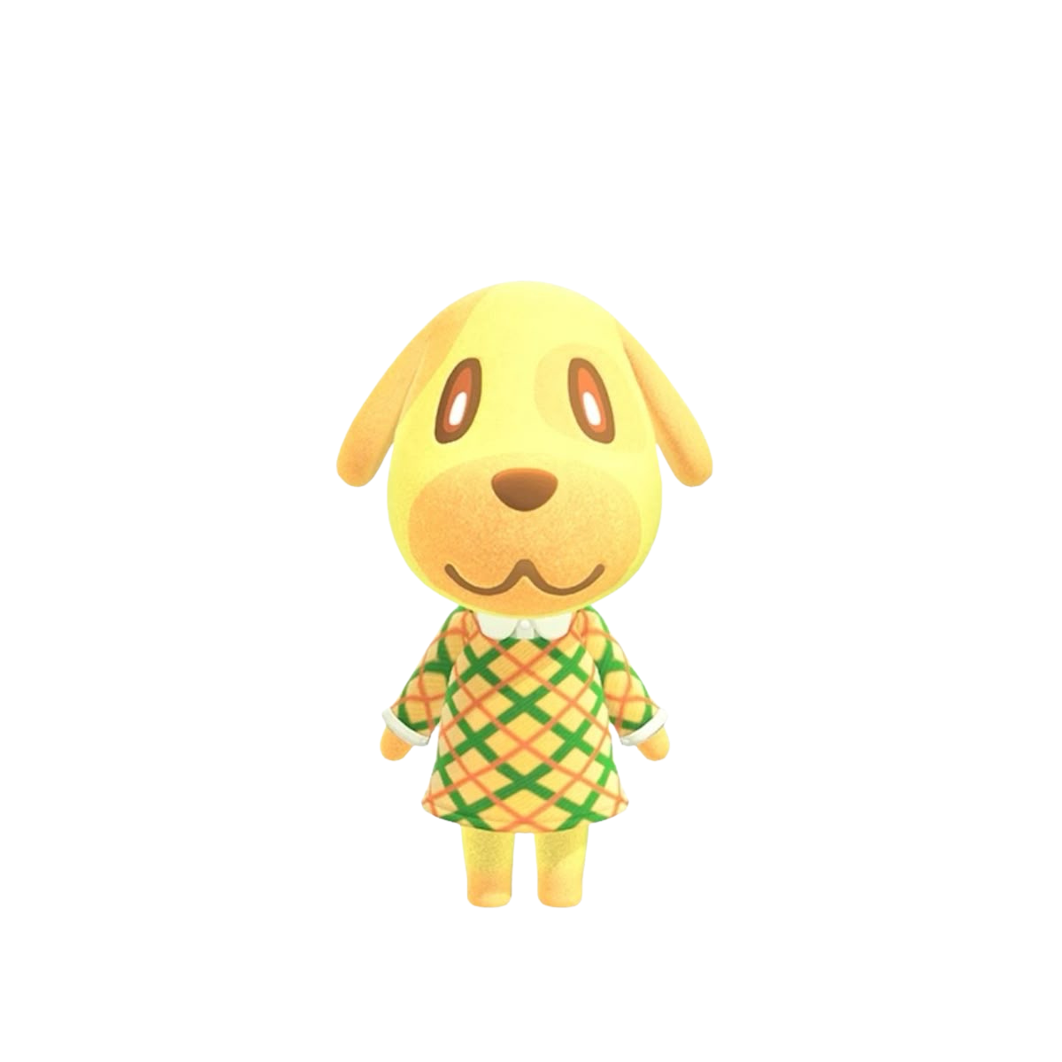 Goldie’s Wärme🐶
