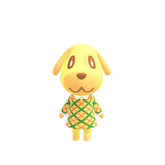 Goldie’s Wärme🐶