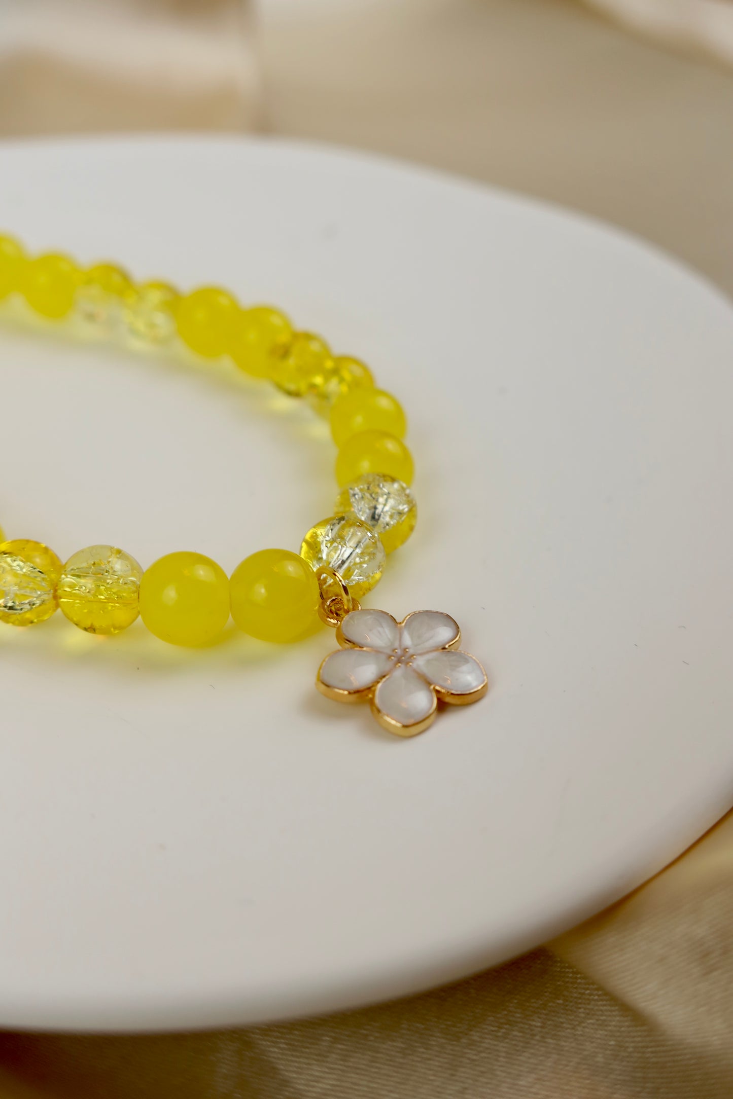 Blütenzauber 💛🌼